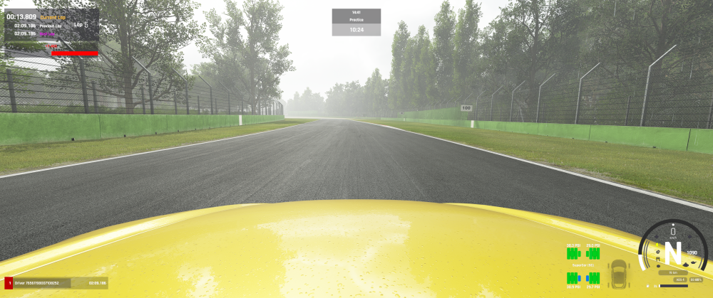 Assetto Corsa EVO 19.01.2025 14_33_26.png