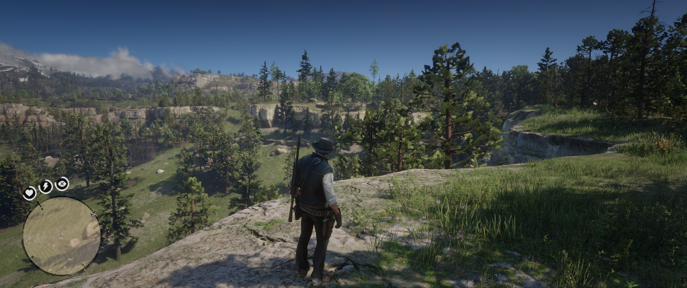 Red Dead Redemption 2 24.01.2025 00_51_05.png