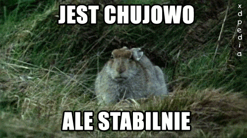 jest-kijowo-ale-stabilnie-krolik_2020-08-04_15-57-32.gif.e2d26cd46107e83fc65fc5a70ead5b08.gif
