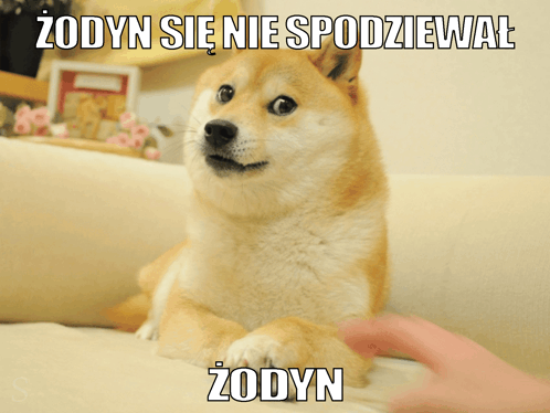 odyn-odyn-si-nie-spodziewa.png.74b66f6e0e229424d5e72c1b5c89a37a.png