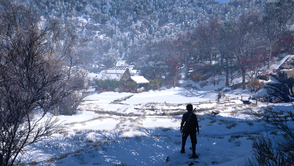 Assassin's Creed Shadows 12.04.2025 21_23_04.png