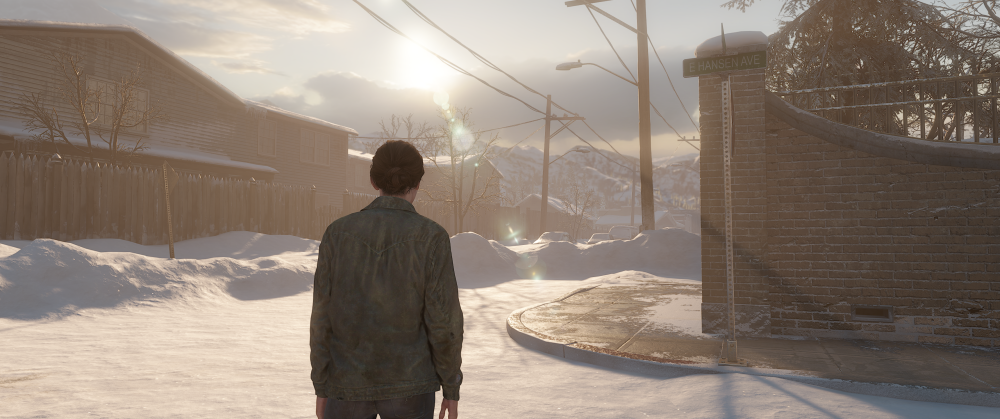 The Last of Us™ Part II v1.0.10402.1014 06.04.2025 22_48_02.png