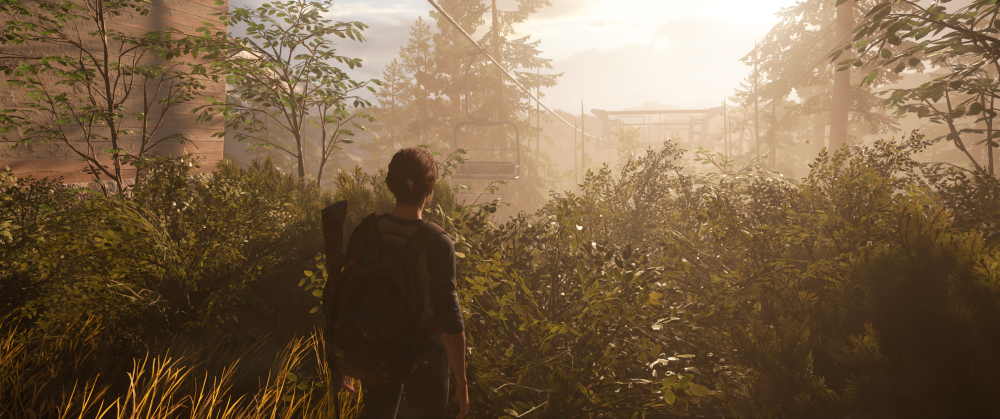 TheLastofUsPartIIv1.0.10407.071409_04.202518_20_10.thumb.png.52702db217b2c3994b217e8595c6ca45.png