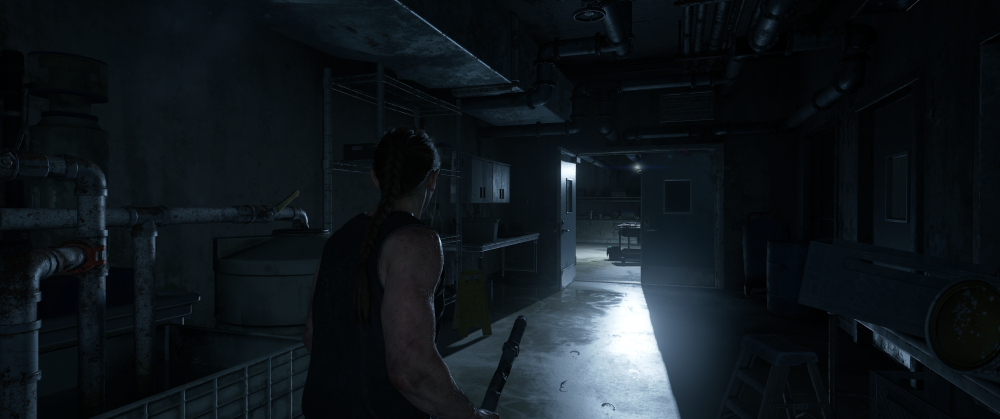 The Last of Us™ Part II v1.2.10416.0553 25.04.2025 20_52_12.png