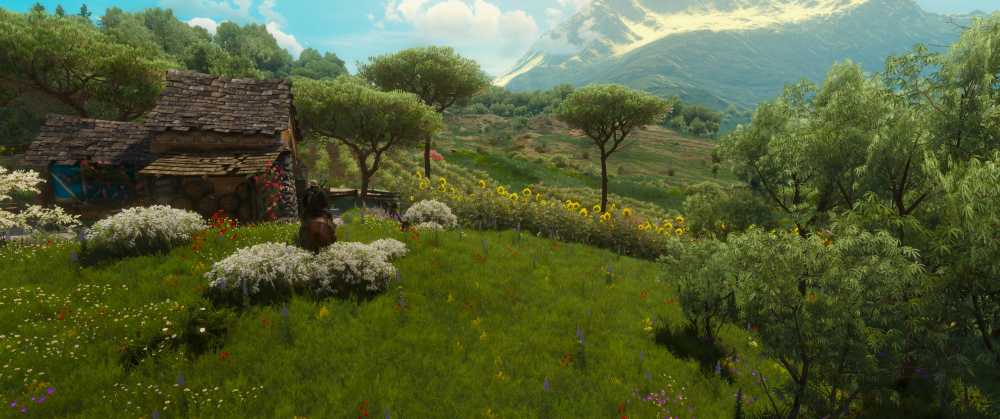 Zrzut ekranu (5980).png