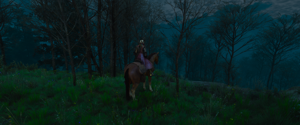 Zrzut ekranu (6032).png