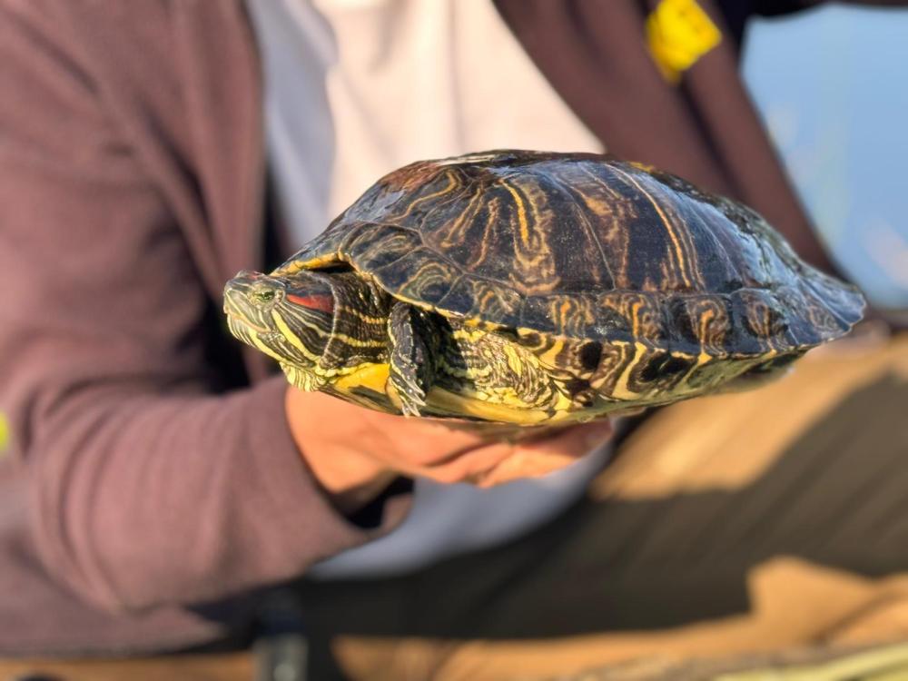 WhatsApp Image 2025-06-01 at 07.25.56.jpeg