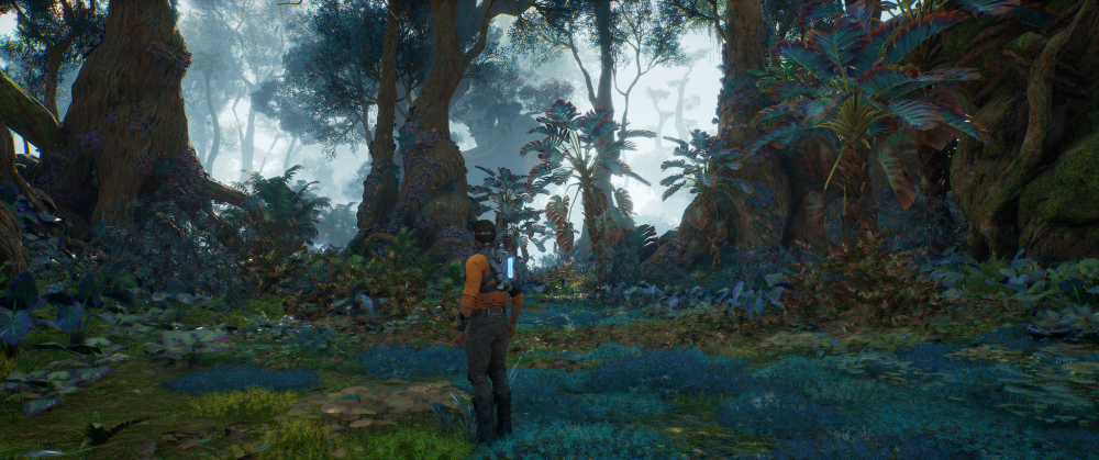 Zrzut ekranu (6254).png