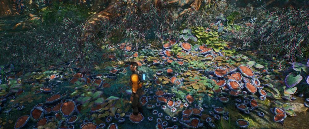 Zrzut ekranu (6265).png