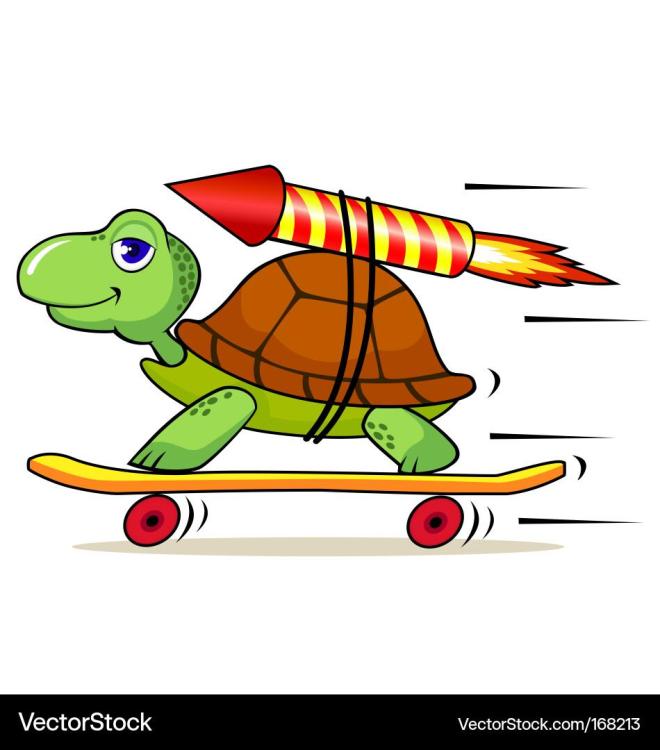 speedy-rocket-turtle-vector-168213.thumb.jpg.639764e30481e7cf20926e685876469b.jpg