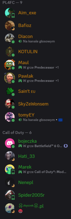 Zrzut ekranu 2025-08-09 200003.png