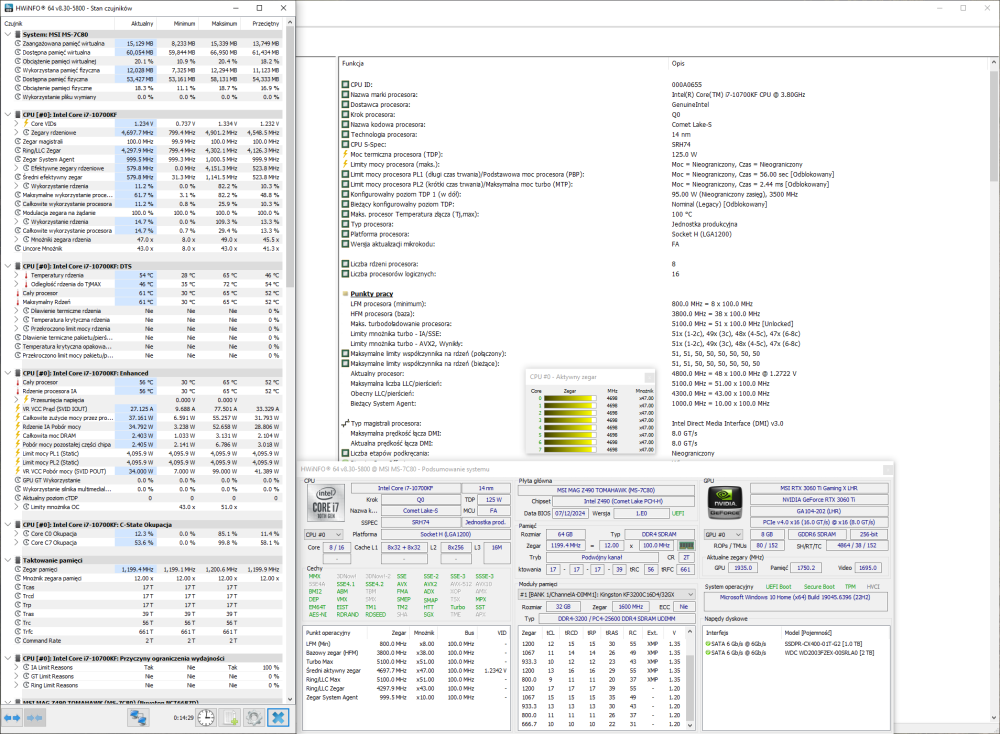 HWiNFO 1.png