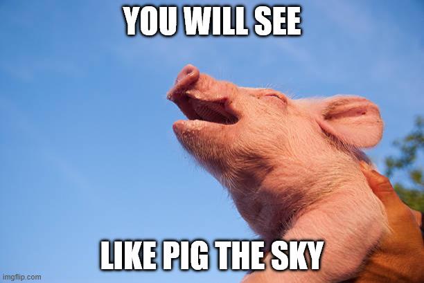 SKYPIG.jpg.189b45f6d0a4119aa24aa325606c8ceb.jpg