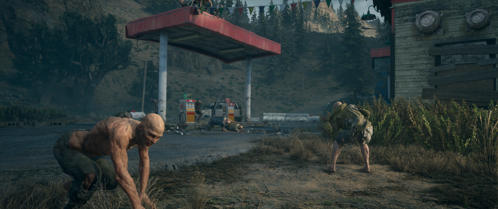 Days Gone 09.06.2025 12_21_03.png