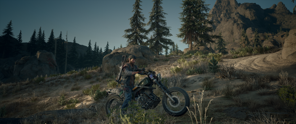 Days Gone Screenshot 2025.10.27 - 19.19.25.13.png