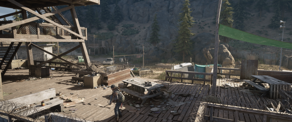 Days Gone Screenshot 2025.10.28 - 20.13.26.67.png