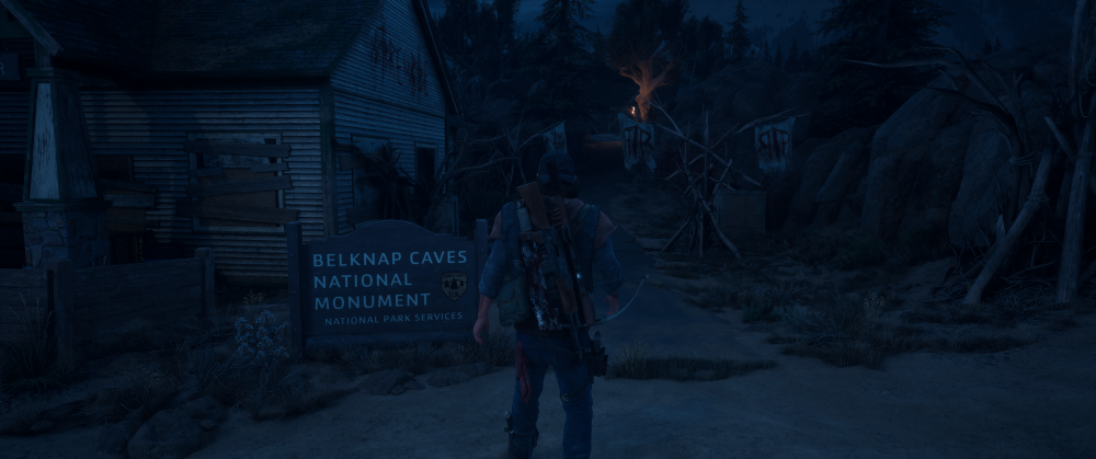 Days Gone Screenshot 2025.10.28 - 21.57.02.96.png