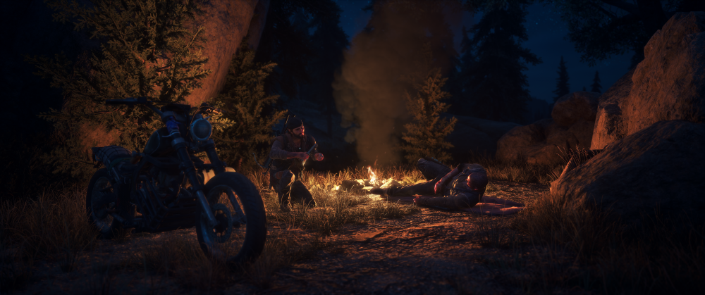 Days Gone Screenshot 2025.10.29 - 17.44.40.81.png