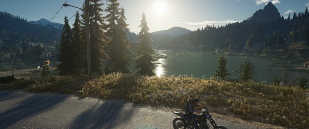 Days Gone Screenshot 2025.10.29 - 18.47.31.33.png
