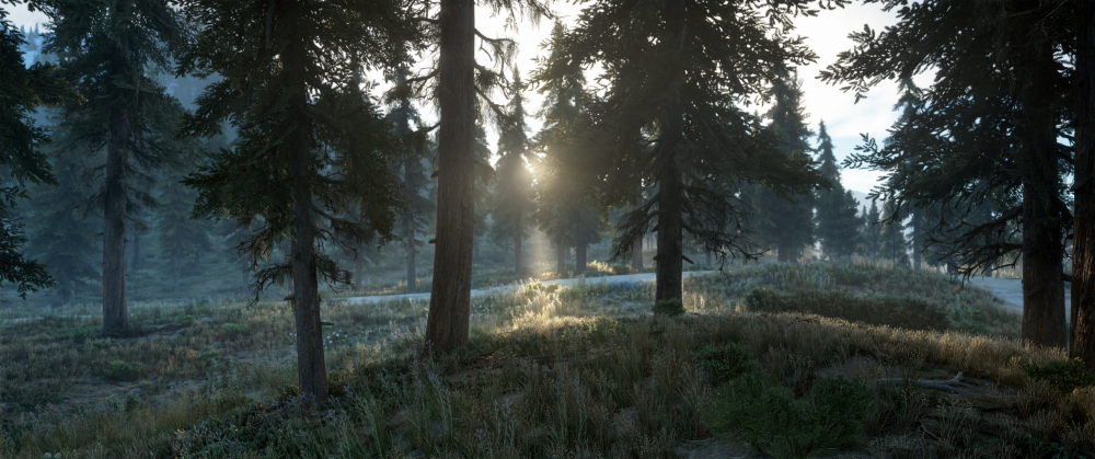 Days Gone Screenshot 2025.10.29 - 20.21.19.13.png