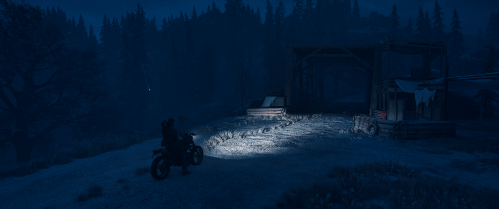Days Gone Screenshot 2025.10.29 - 21.25.50.33.png