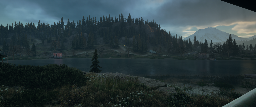 Days Gone Screenshot 2025.10.29 - 22.02.42.75.png