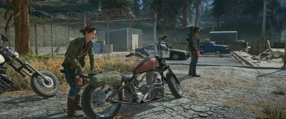 Days Gone Screenshot 2025.11.03 - 22.28.18.34.png