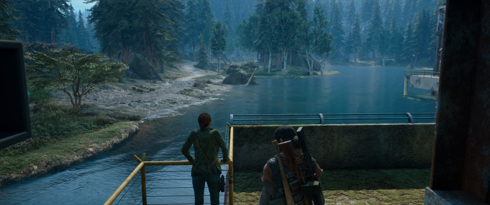 Days Gone Screenshot 2025.11.03 - 22.31.09.59.png