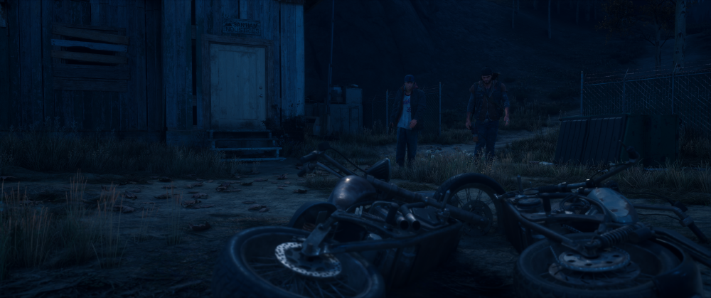 Days Gone Screenshot 2025.11.04 - 00.13.20.74.png