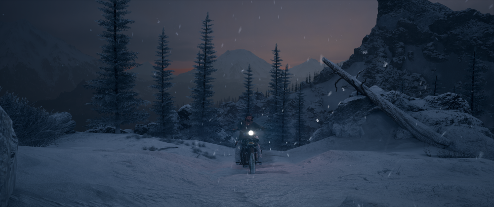 Days Gone Screenshot 2025.11.05 - 09.55.18.22.png