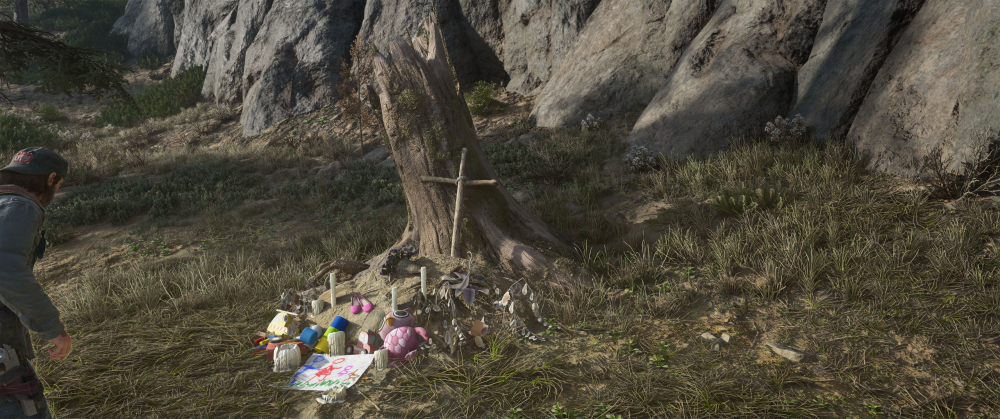 Days Gone Screenshot 2025.11.13 - 20.48.58.92.png