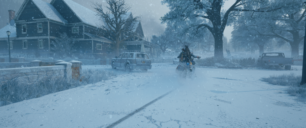 Days Gone Screenshot 2025.11.28 - 09.44.48.55.png