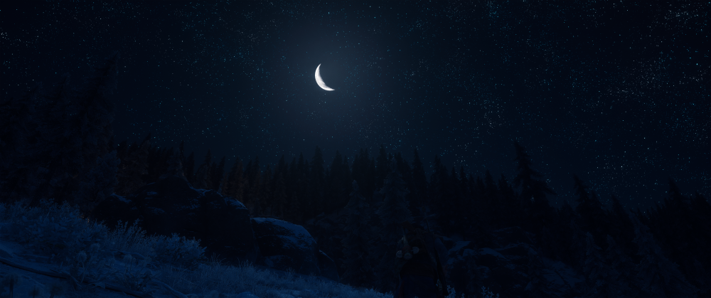 Days Gone Screenshot 2025.11.28 - 10.18.16.14.png