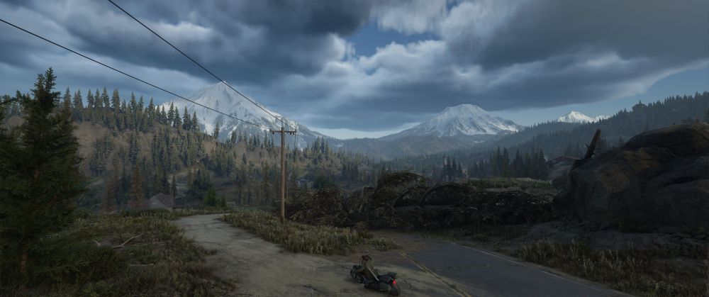 Days Gone Screenshot 2025.11.03 - 23.03.06.96.png