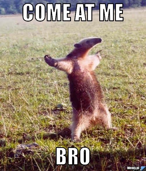 come_at_me.jpg.1b630d8b706c6438d9d13ccd0d64522e.jpg