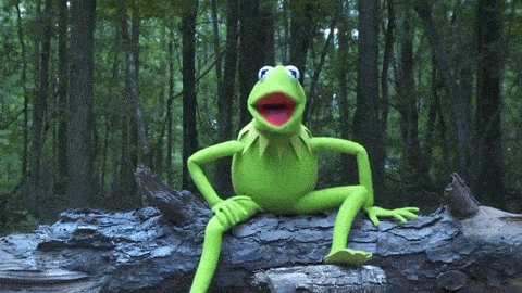 kermit-the-frog-ice-bucket-challenge-5ai6oym5udsbkgmm.gif.f474334358bc5f8daaf78c708918af28.gif
