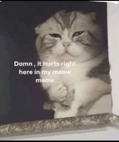 17773514540627919320286389068290.png.c6cd13807a9695f79894dbbf35008ec5.png
