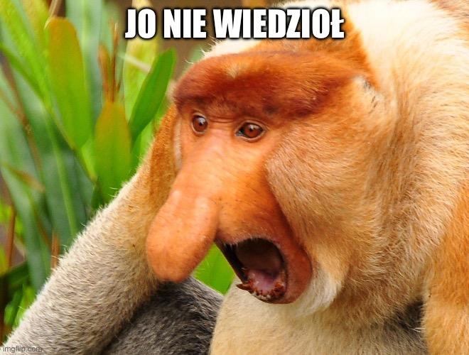 image.jpeg.574dfeeb9e6cdf6d05f608035f2b2933.jpeg