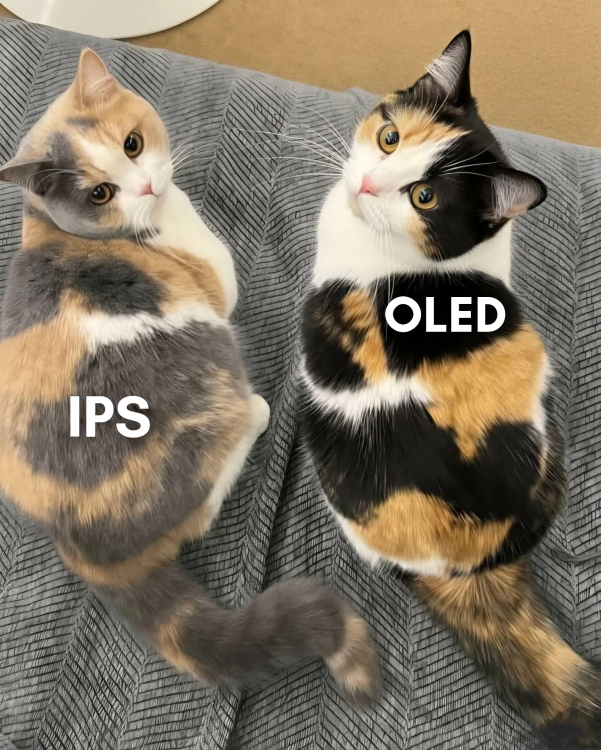 IPSOLED.thumb.png.9ed3bf36fc74825ebd994cc92efd95a7.png