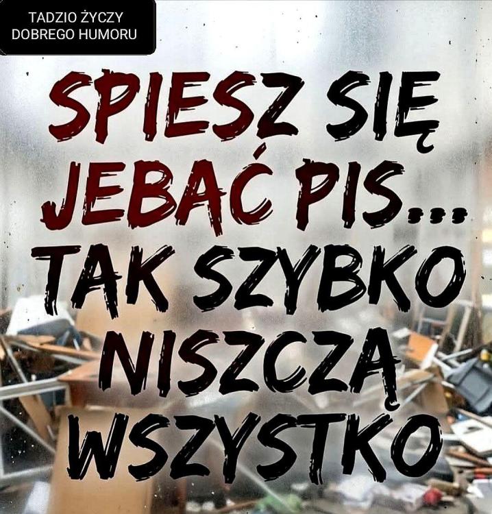 Jebac pis.jpg