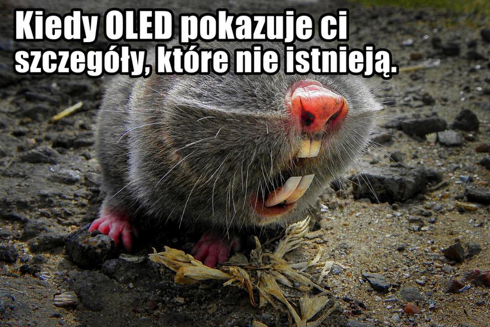 file_00000000baf071f4b67789a31353f572.thumb.png.db568111d08afaaef98486b9242a6385.png