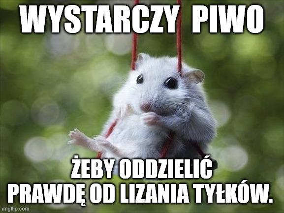 LEVEN.jpg.b76ef7e8440f2a0db3dec2edcf91e573.jpg