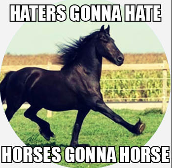 image.png.c7c1d0daa8dcba33081564bb169dfbe1.png