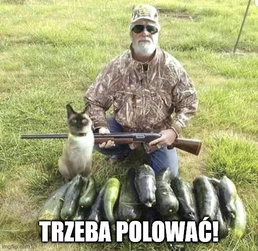 HUNT.jpg.f741f4c76b410a2068b2fba0e912be26.jpg