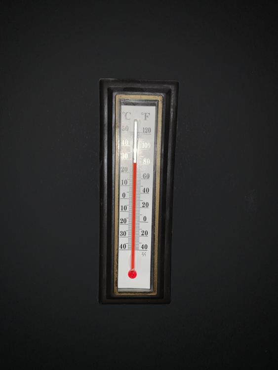 IMG_3993.jpeg