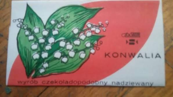 czekoladopodobna.jpg.825b2222b261b47d3beb101e438f7f24.jpg