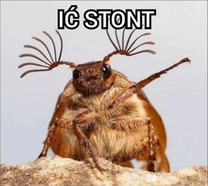 image.thumb.png.171733de5ebcfb40c7ee951911b25c1a.png
