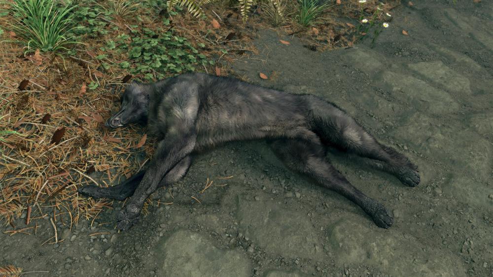 skyrim8.jpg