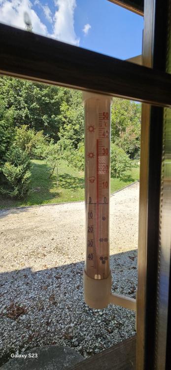 20260805_142632.jpg