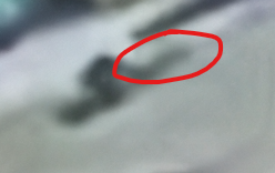 image.png.223510e30e4b7b8dd3a3a5ec2362566e.png